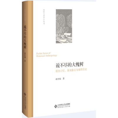 醉染图书说不尽的大槐树9787303229147