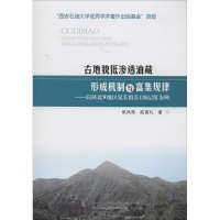 音像古地貌低渗透油藏的形成机制与富集规律张凤奇