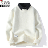 啄木鸟2024秋冬季新款衬衫领假两件毛衣男士加绒针织打底衫线衣服