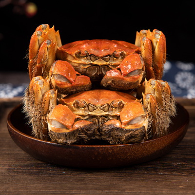 金沐运澄 严选精品大闸蟹实物鲜活螃蟹 全母蟹3两 8只礼盒装