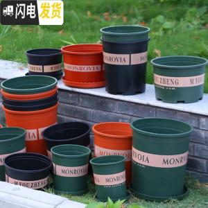 三维工匠经典加仑花盆特大号绿萝盆栽加厚小花盆阳台月季玫瑰树脂塑料花盆 矮款1加仑[10个装]10送2 配套托盘花盆容器