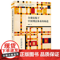 全球结构下中国刑法体系的构造 童德华 著 北京大学出版社