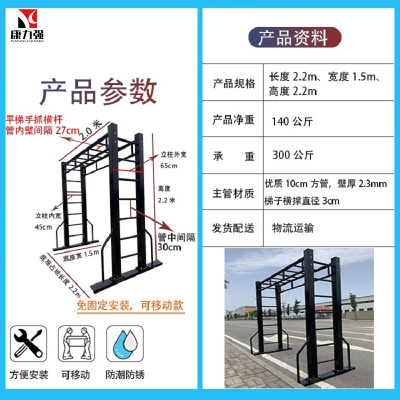 康力强室内家用平梯云梯小区公园健身路径器材可移动落地式免固定平天梯(平梯1)