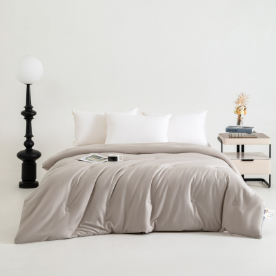 汉司家纺 150*200cm 舒适亲肤全棉健康大豆春秋冬被 1.00 件/条(计价单位:条)浅灰