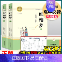 红楼梦.南方出版社 [正版]老人与海 〔美〕海明威原著无删减名著阅读高中语文高一高二高三学生课外阅读书籍经典名著阅读课程