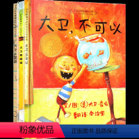 大卫不可以全套3册 [正版]青葫芦 大卫不可以绘本系列全套3册一年大卫上学去惹麻烦国际获奖经典儿童绘本0-1-2-3-4