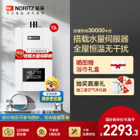 能率13升燃气热水器 GQ-13E4AFEX(天然气)(JSQ25-E4) 恒温带水量伺服器 一键节能