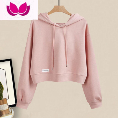 七斓休闲套装女春季新款小个子洋气小众穿搭时尚短款卫衣运动裤套