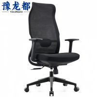 豫龙都人体工学椅Z8把