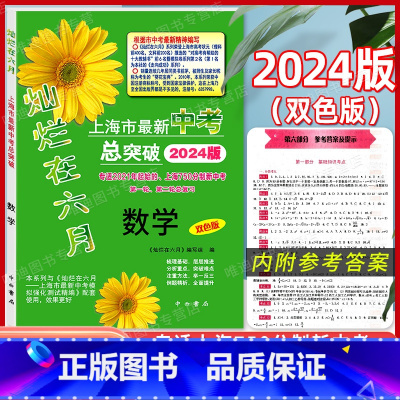 2024版 中考总突破 数学 九年级/初中三年级 [正版]2024版灿烂在六月 上海市新中考总突破 语文数学英语物理化学