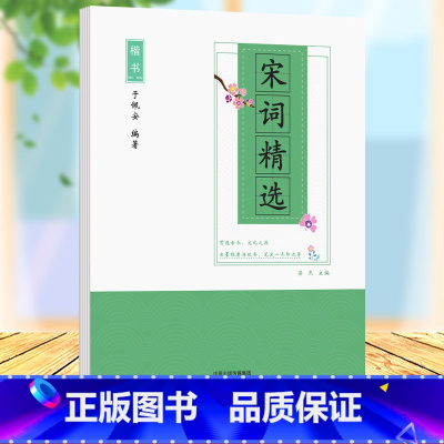 [正版]宋词精选楷书字帖宋词精选于佩安楷书 楷书入门基础训练教程初高中生练字钢笔字帖 宋词临摹练字本笔画偏旁部首练