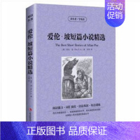 [正版]读名著学英语 爱伦.坡短篇小说 英汉对照 世界名著 ( 爱伦坡英汉 中英文对照书 恐怖小说 英汉双语 恐怖书籍双