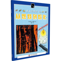 音像从燃烧到熔化(英)皮特·拉弗蒂 著;金蓉 译