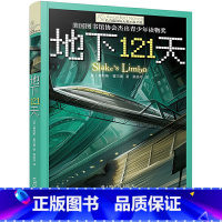 地下121天 [正版]新版 长青藤小说书系倩达秘密 宇宙后一本书 枫树山的奇迹五年级的烦恼胡桃木小姐