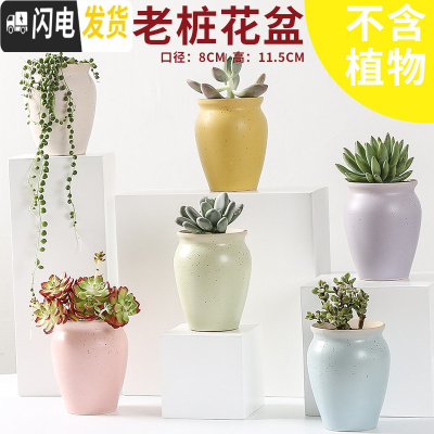 三维工匠多肉花盆陶瓷透气大口径家用创意粗陶肉肉植物小盆器 马卡龙老桩(6个) 小花盆容器