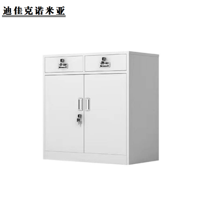 迪佳克诺米亚 办公柜 两抽办公矮柜 GZ-800*400*900mm 个