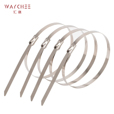 汇继 不锈钢扎带 7.9*600mm/个