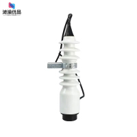 沁渝优品 熔断器 PRW-12/100A/只