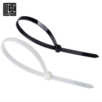 顺心捷 尼龙扎带 3×100mm 根