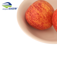 铂锜澳 白色陶瓷斗碗10个装/件