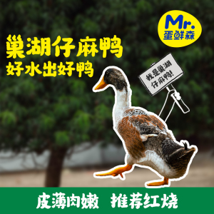 [五个农民] 巢湖仔麻鸭2只 1000g±100g/只 巢湖水域散养新鲜仔麻鸭 活鸭活体现杀 养殖70~100天 顺丰