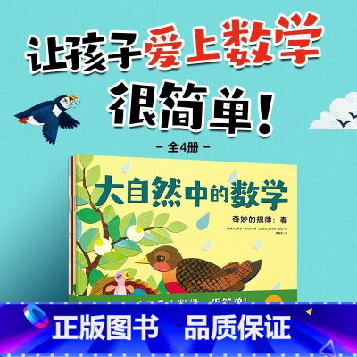 大自然中的数学(共4册) [正版]书店大自然中的数学(共4册) 莉安·弗拉特著 少儿百科词典出版社9岁-12岁