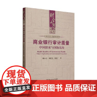 商业银行审计质量 中国探索与国际比较 陈汉文等 著 经济