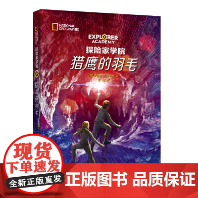 探险家学院·猎鹰的羽毛