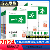 语文[人教版] 七年级下 [正版]2024新版初中同步训练七八九年级下册语文数学英语物理化学生物历史道德与法治 人教北师