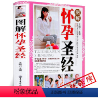 [正版]图解怀孕圣经 mm王琪 主编 书籍 书店 军事医学科学出版社