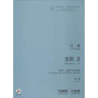 醉染图书变数 2 胡琴、琵琶语民乐队9787551940