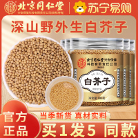 [买1发5共500g]北京同仁堂白芥子白介子100g正品干货中草药材官方旗舰店荷叶山楂泡水