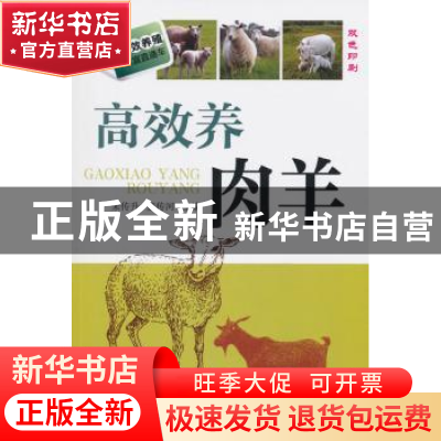 正版 高效养肉羊 宋传升,董传河 主 机械工业出版社 9787111497