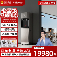 安吉尔(ANGEL) 反渗透净饮一体机净水器AHR2903-2030K2