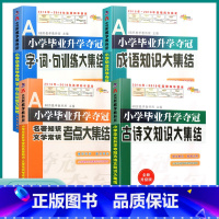 4本套装]小学知识大集结 小学通用 [正版]2023版小学毕业升学夺冠 名著知识文学常识/古诗文/成语/字词句训练知识大