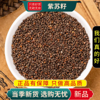 甄选紫苏籽100克煮水紫苏子紫苏籽正另售莱菔子白芥子9260