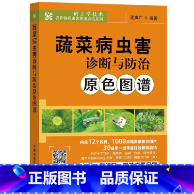 [正版]蔬菜病虫害诊断与防治原色图谱 黄瓜番茄南瓜病虫害防治及安全用药蔬菜种植技术蔬菜生产技术全书蔬菜种植书籍 **农