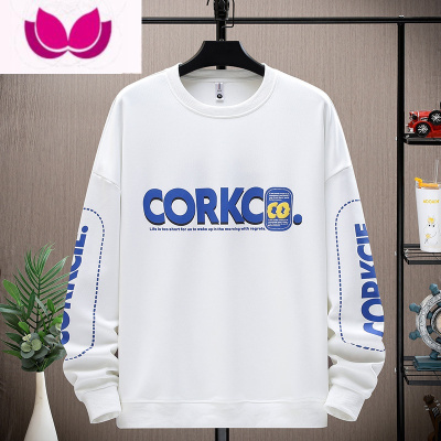 七斓青少年卫衣男孩12-15岁初中学生13长袖t恤14大童帅气打底衫