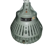 中兴防爆 防爆高效节能LED灯A型 BAD81-100W