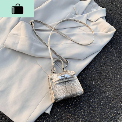 百搭包包迷你斜挎包女2020夏天流行新款潮时尚单肩凯莉包洋气手提NEW LAKE女斜挎包