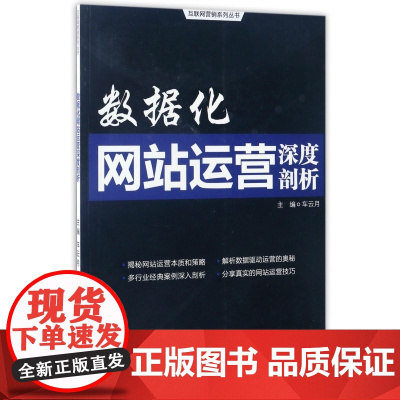 数据化网站运营深度剖析/互联网营销系列丛书