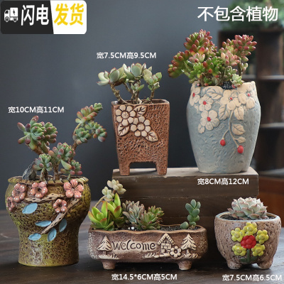 三维工匠韩式多肉花盆陶瓷粗陶透气创意个性肉肉植物拇指简约花盆 DX艺美02组合5个 小花盆容器