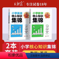 小学核心知识集锦2本[数学+英语] 小学通用 [正版]小学核心知识集锦语文数学英语基础知识大全一二三四五六年级知识大盘点