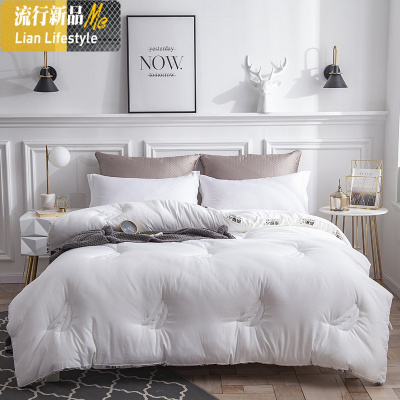 大豆纤维被子冬被加厚保暖春秋四季通用单双人太空调被棉被芯被褥 三维工匠