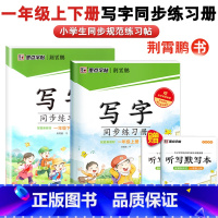 [写字同步练习册] 2本套 1年级上下册·无蒙纸 小学通用 [正版]新版大开本墨点人教版小学一二三四五六年级上册下册1-