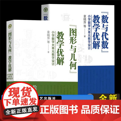 全2册 袁晓萍教育 图形与几何教学优解小学数学大单元教学设计+ 数与代数教学优解小学数学大单元教学设计 长江文艺