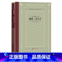 [正版]前夜父与子屠格涅夫外国文学名著丛书网格本名著经典