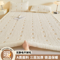 宝宝绒牛奶绒床垫软垫家用垫被褥子铺底加厚毛毯垫子秋冬保暖垫褥