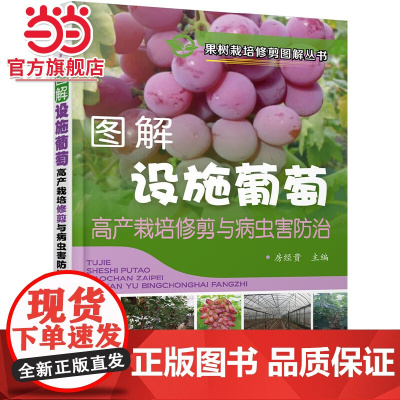 果树栽培修剪图解丛书--图解设施葡萄高产栽培修剪与病虫害防治 房经贵 化学工业出版社 正版书籍