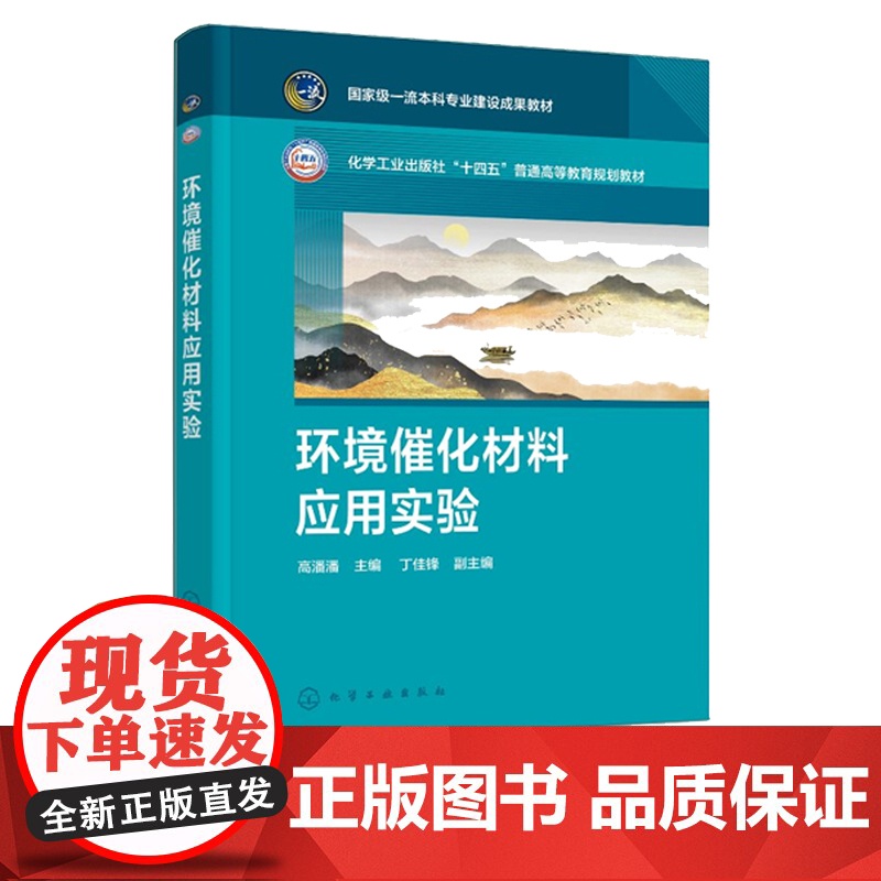 环境催化材料应用实验 高潘潘 丁佳锋 化学工业出版社